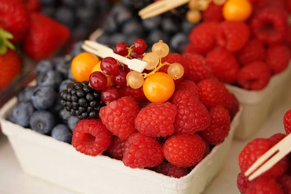 新鮮な果物 ベリー 赤い果実 ブルーベリー ブラックベリー 食品市場の赤カラント — ストック写真