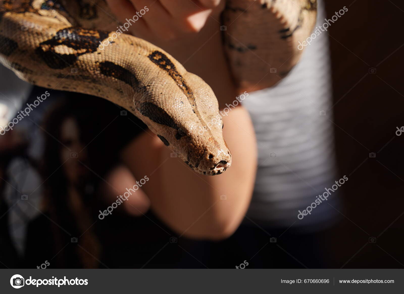 Скачать картинки Human with snake, стоковые фото Human with snake в хорошем  качестве - Страница 2 | Depositphotos