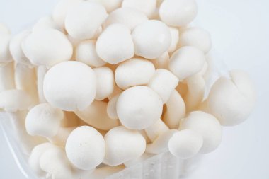 Bir demet beyaz ballı agarik mantar.