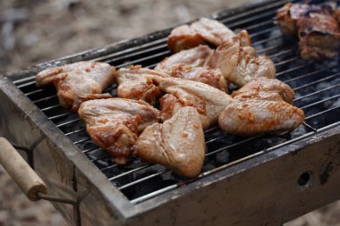 Taze tavuk kanatları ateşte pişmiş et. Izgarada barbekü yapmak