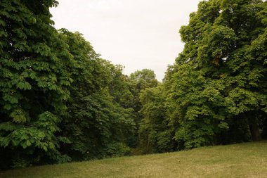 Çek Cumhuriyeti Prag 'daki Vyehrad Gardens' a park et.