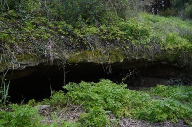 Ormandaki kayanın mağara girişinde..