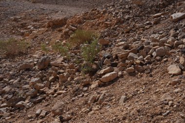Kurumuş nehir yatağı - Kızıl Kanyon yolu, ulusal rezerv - Eilat yakınlarındaki Kızıl Kanyon, güney İsrail