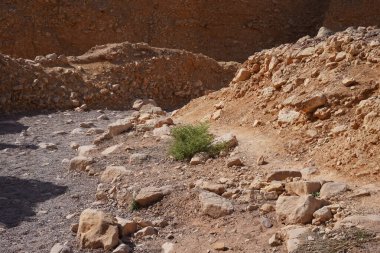 Kurumuş nehir yatağı - Kızıl Kanyon yolu, ulusal rezerv - Eilat yakınlarındaki Kızıl Kanyon, güney İsrail