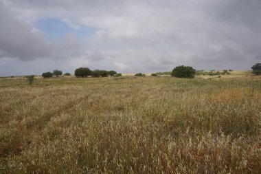 Şelaleye giden yol, Gamla Doğa Koruma Alanının bir parçası, Golan Tepeleri, İsrail