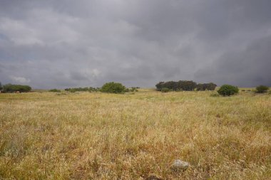 Şelaleye giden yol, Gamla Doğa Koruma Alanının bir parçası, Golan Tepeleri, İsrail
