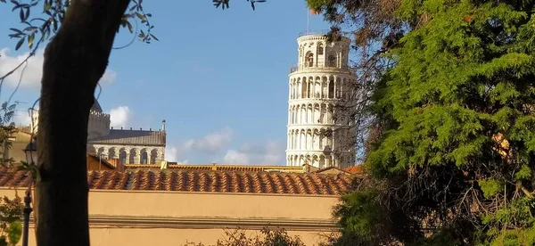 Белая Верхняя Часть Башни Пизы Над Крышами Ботанического Сада Тоскане — стоковое фото