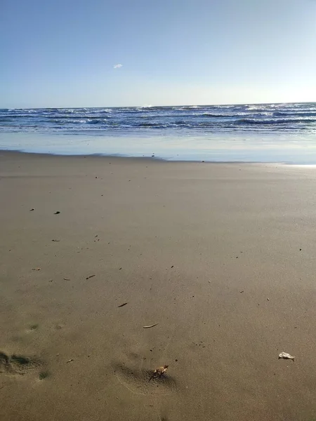 トスカーナの紺碧の水の前にある無人の砂浜でロマンチックな海岸線 — ストック写真