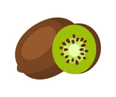 Kivi vektör çizimi. düz dizayn