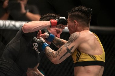 Rio de Janeiro (RJ), 21.01.2023 - UFC 283 - Lauren Murphy x Jessica Andrade, ana kartta kadın sinek siklet dövüşü. Rio de Janeiro şehrindeki Barra da Tijuca mahallesindeki Jeunesse Arena 'da UFC 283..