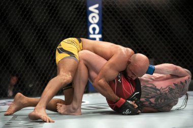 Rio de Janeiro (RJ), 01.21.2023 - UFC 283 - Alves vs. Dalby orta sıklet karşılaşmasında. Rio de Janeiro şehrindeki Barra da Tijuca mahallesindeki Jeunesse Arena 'da UFC 283..