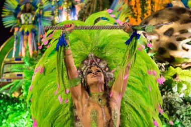 Rio de Janeiro, RJ, Brezilya - 05 Mart 2019: Rio Karnavalı 2019. Rio de Janeiro Karnaval Özel Serisi.
