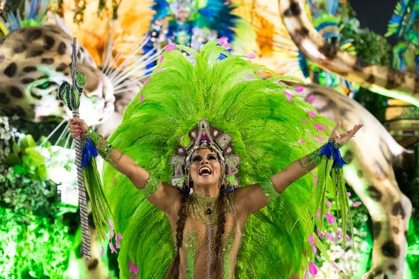 Rio Janeiro Brazílie Března2019 Rio Carnival2019 Průvod Mistrovských Škol Speciální — Stock fotografie