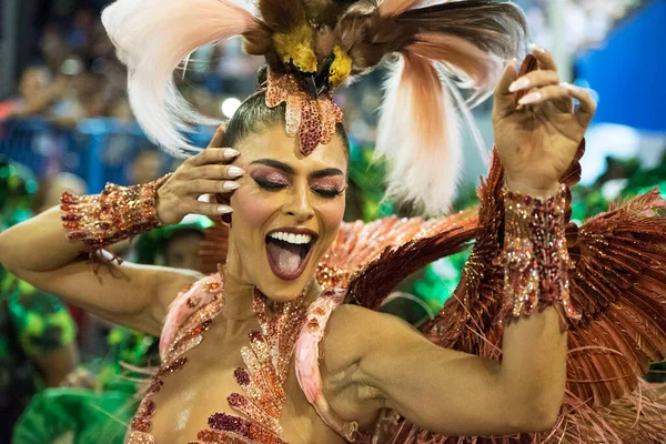 Rio Janeiro Brazil March 2019 Rio Carnival 2019 Parade Special — Stock Photo, Image
