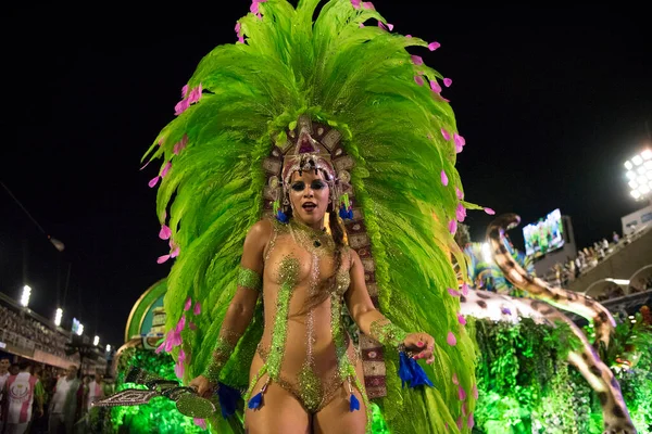 Rio Janeiro Brasile Marzo 2019 Rio Carnival 2019 Rio Janeiro — Foto Stock