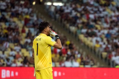 Rio de Janeiro, Brezilya - 18 Haziran 2019: Rio de Janeiro 'nun kuzeyindeki Maracana Stadyumu' nda düzenlenen CONMEBOL Copa America 2019 A Grubu 'nun ikinci turu için geçerli olan Bolivya x Peru maçı