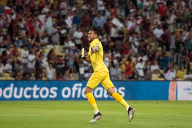 Rio de Janeiro, Brezilya - 18 Haziran 2019: Rio de Janeiro 'nun kuzeyindeki Maracana Stadyumu' nda düzenlenen CONMEBOL Copa America 2019 A Grubu 'nun ikinci turu için geçerli olan Bolivya x Peru maçı
