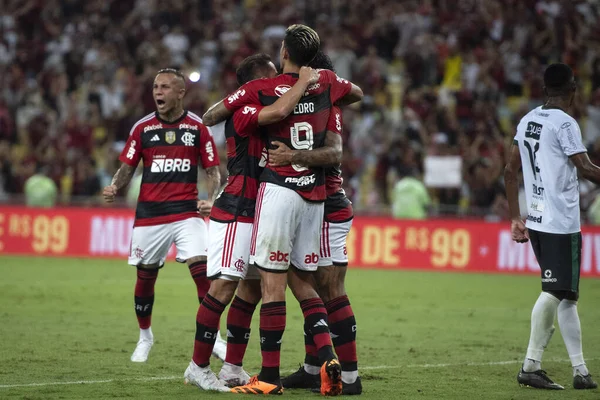 Rio Janeiro Rio Janeiro Brasile Aprile 2023 Flamengo Maringa Allo — Foto Stock