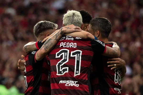 리우데자네이루 브라질 리우데자네이루 2022 Flamengo Velez Sarsfield 라카나 스타디움에서 리베르타도 — 스톡 사진