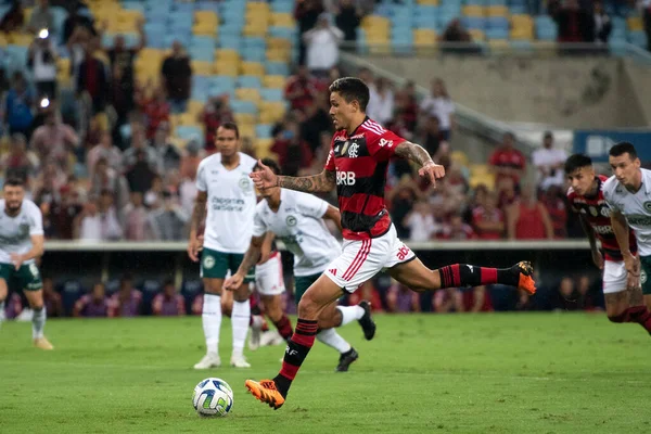 Rio Janeiro 2023 Pedro Flamingo Spiel Zwischen Flamengo Gois Für — Stockfoto