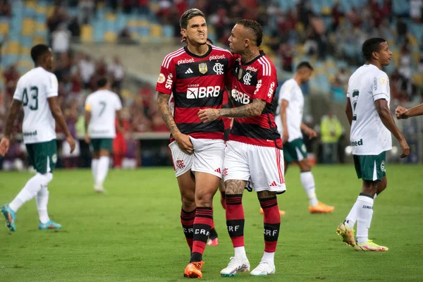 リオデジャネイロ 2023年 ペドロ フラメンゴによるゴール セレブレーション マラカンでブラジル人の第5ラウンドのためのFlamengo Goisの間の試合 — ストック写真