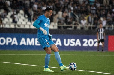 Rio de Janeiro (RJ), 19.07.2023 - Gatito do Botafogo. Nilton Santos 'taki Botafogo RJ x Patronato (ARG) ile Sul-Americana maçı.