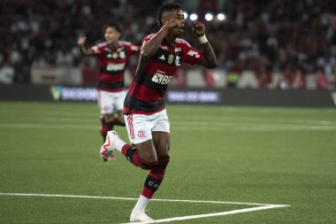 RIO DE JANEIRO, BRAZIL - 02ND EPTEMBER, 2023: Brezilya Şampiyonası için Estdio Nilton Santos 'ta Botafogo x Flamengo maçı. 