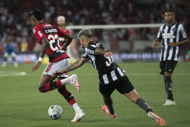 RIO DE JANEIRO, BRAZIL - 02ND EPTEMBER, 2023: Brezilya Şampiyonası için Estdio Nilton Santos 'ta Botafogo x Flamengo maçı. 