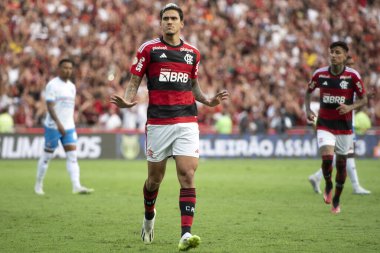 Rio de Janeiro (RJ), 09 / 30 / 2023 - Pedro do Flamengo 'nun gol kutlaması. Maracan 'daki Brezilya Şampiyonası için Flamengo x Bahia arasındaki maç.