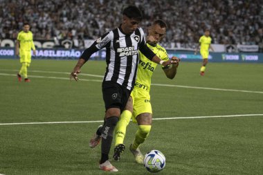 Rio de Janeiro, Rio de Janeiro, Brezilya - 01 Kasım 2023. Botafogo x Palmeiras. Brezilya Şampiyonası Nilton Santos Stadyumunda.     