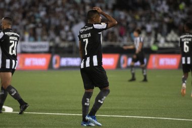 Rio de Janeiro, Rio de Janeiro, Brezilya - 01 Kasım 2023. Botafogo x Palmeiras. Brezilya Şampiyonası Nilton Santos Stadyumunda.     