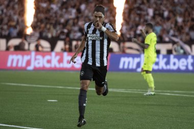 Rio de Janeiro, Rio de Janeiro, Brezilya - 01 Kasım 2023. Botafogo x Palmeiras. Brezilya Şampiyonası Nilton Santos Stadyumunda.     