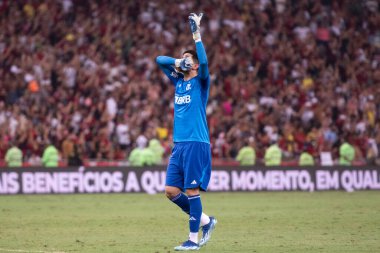 Rio de Janeiro, Rio de Janeiro, Brezilya - 11 Kasım 2023. Flamengo x Fluminense. Campeonato Brasileiro.            