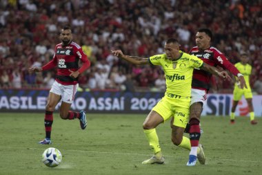 Rio de Janeiro, Rio de Janeiro, Brezilya - 08 Kasım 2023. Flamengo x Palmeiras - Campeonato Brasileiro.    