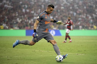 Rio de Janeiro, Rio de Janeiro, Brezilya - 11 Kasım 2023. Flamengo x Fluminense. Campeonato Brasileiro.            