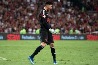 Rio de Janeiro, Rio de Janeiro, Brezilya - 08 Kasım 2023. Flamengo x Palmeiras - Campeonato Brasileiro.    