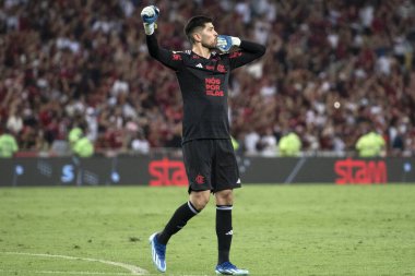 Rio de Janeiro, Rio de Janeiro, Brezilya - 08 Kasım 2023. Flamengo x Palmeiras - Campeonato Brasileiro.    