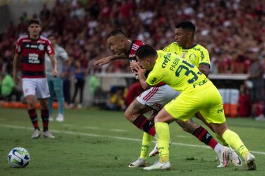 Rio de Janeiro, Rio de Janeiro, Brezilya - 08 Kasım 2023. Flamengo x Palmeiras - Campeonato Brasileiro.    