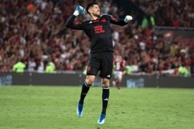 Rio de Janeiro, Rio de Janeiro, Brezilya - 08 Kasım 2023. Flamengo x Palmeiras - Campeonato Brasileiro.    