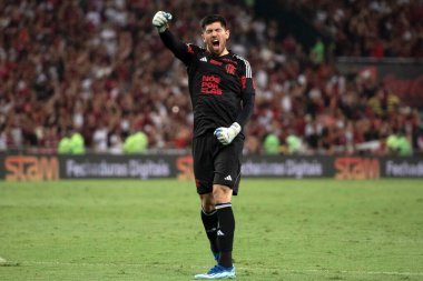Rio de Janeiro, Rio de Janeiro, Brezilya - 08 Kasım 2023. Flamengo x Palmeiras - Campeonato Brasileiro.    