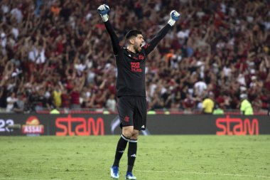 Rio de Janeiro, Rio de Janeiro, Brezilya - 08 Kasım 2023. Flamengo x Palmeiras - Campeonato Brasileiro.    