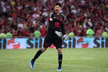 Rio de Janeiro, Rio de Janeiro, Brezilya - 08 Kasım 2023. Flamengo x Palmeiras - Campeonato Brasileiro.    