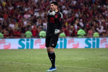 Rio de Janeiro, Rio de Janeiro, Brezilya - 08 Kasım 2023. Flamengo x Palmeiras - Campeonato Brasileiro.    