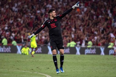 Rio de Janeiro, Rio de Janeiro, Brezilya - 08 Kasım 2023. Flamengo x Palmeiras - Campeonato Brasileiro.    