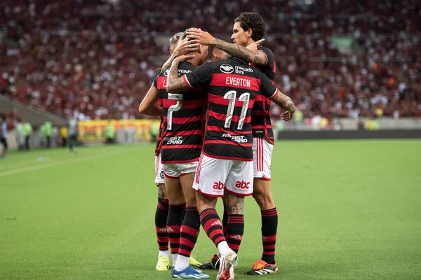Rio Janeiro 2024 Flamengo Boavista Partita Tra Flamengo Boavista Campionato — Foto Stock