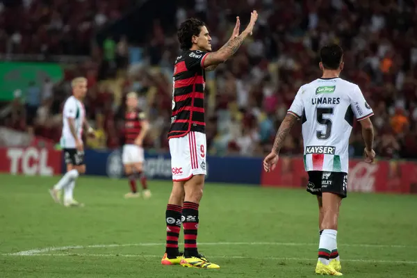 stock image Rio de Janeiro, Rio de Janeiro, Brazil - April 10, 2024. Flamengo x Palestino (CHI) - Conmebol Libertadores.                    