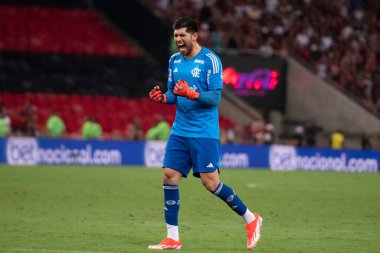 Rio de Janeiro, Rio de Janeiro, Brezilya - 17 Nisan 2024. Flamengo x Sao Paulo - Campeonato Brasileiro.           