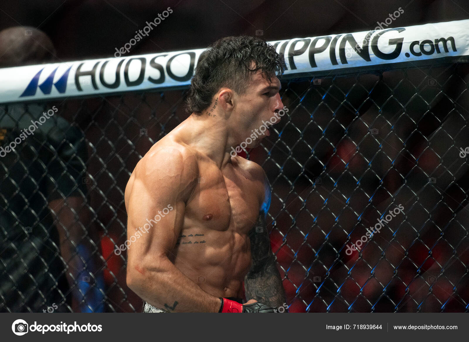 Rio Janeiro 2024 Ufc 301 Pantoja Erceg Lucha Entre Costas — Foto