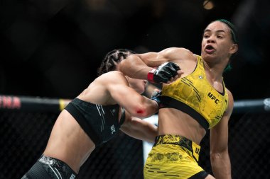 Rio de Janeiro (RJ), 04 / 05 / 2024 - UFC 301 - PANTOJA ERCEG - Farmasi Arena 'da Barbosa x Kareckaite arasında dövüş.