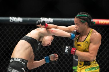 Rio de Janeiro (RJ), 04 / 05 / 2024 - UFC 301 - PANTOJA ERCEG - Farmasi Arena 'da Barbosa x Kareckaite arasında dövüş.